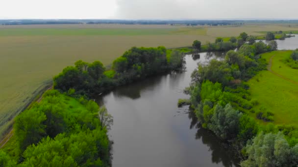 Paisagem Com Rio Partir Altura Voo Aves — Vídeo de Stock