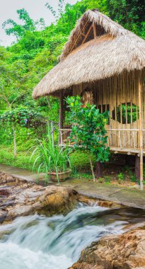 Tayland 'da Phuket' te palmiye ağaçları olan ormanda yol kenarında bir kulübe.