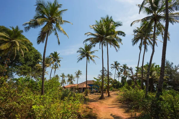 Hus Den Tropiska Djungeln Indien — Stockfoto