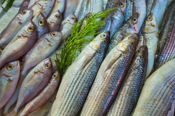 Vente Poissons Fruits Mer Sur Les Marchés Orientaux Turquie Contexte — Photo