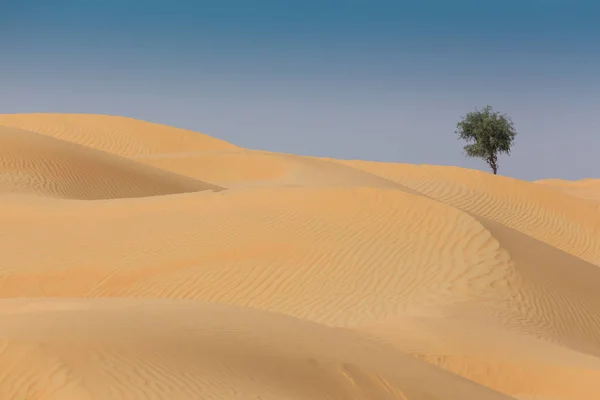 Deserto árabe — Fotografia de Stock