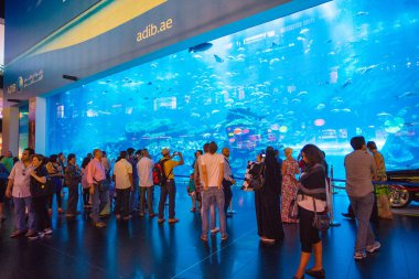 dubai alışveriş merkezi Akvaryum