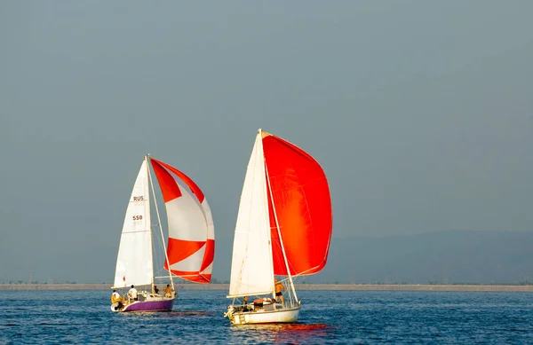 Die Yacht nimmt an Wettbewerben im Segeln teil — Stockfoto