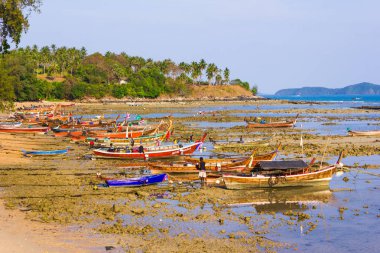 Tayland deniz kıyısında balıkçı tekneleri
