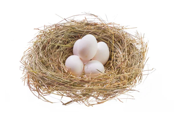 Nido Con Huevos Pascua Aislados Sobre Fondo Blanco — Foto de Stock