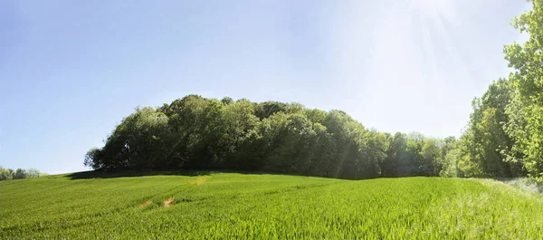 Panorama View Rural Tranquil Landscape Trees Woods Fields Warm Sunlight — Stock Photo, Image
