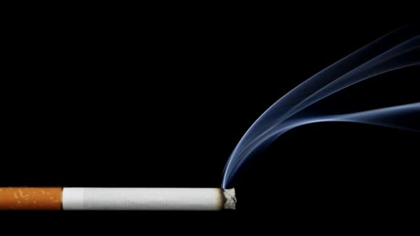 Közelről Dohányzás Cigaretta Fekete Háttér Stock Footage — Stock videók