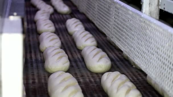 Αρτοποιείο. Σειρές από φρέσκο ψωμί loafs ξαπλωμένη στο ράφι. Διαδικασία ψησίματος ψωμιού. Βιομηχανία τροφίμων και την παραγωγή. — Αρχείο Βίντεο