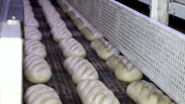 Bakkerij. Rijen met vers brood loafs liggend op de plank. Brood bakproces. Voedingsindustrie en productie. — Stockvideo