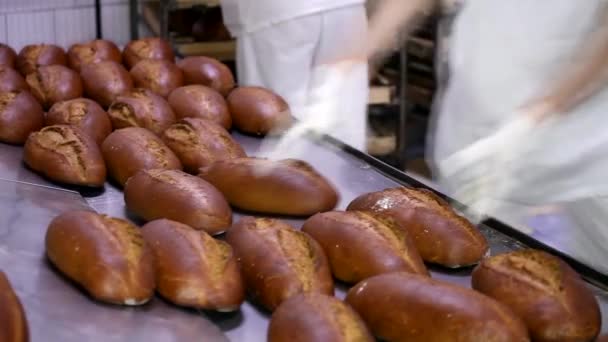 Bagarstuga. Rader av färskt bröd limpor liggande på hyllan. Baka bröd processen. Livsmedelsindustrin och produktion. — Stockvideo