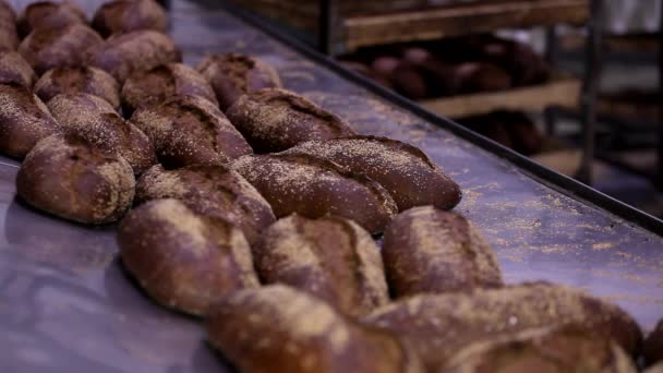 Bagarstuga. Rader av färskt bröd limpor liggande på hyllan. Baka bröd processen. Livsmedelsindustrin och produktion. — Stockvideo