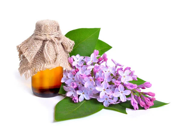 Syringa Eller Lila Blommor Med Farmaceutiska Flaska Isolerad Vit Bakgrund — Stockfoto