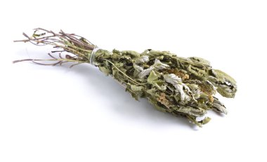 Şifalı otlar hammadde beyaz izole kurumuş. Filipendula ulmaria, erkeç sakalı veya mead wort bilinen