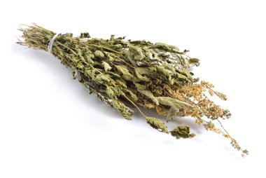 Şifalı otlar hammadde beyaz izole kurumuş. Filipendula ulmaria, erkeç sakalı veya mead wort bilinen