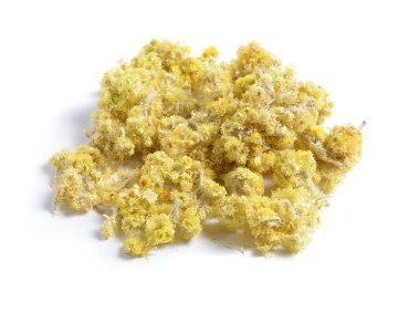 Şifalı otlar hammadde beyaz izole kurumuş. Çiçekler Helichrysum arenarium cüce everlast ve rengi bozulmayan çiçek olarak da bilinen