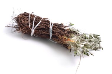 Şifalı otlar hammadde beyaz izole kurumuş. Potentilla alba.