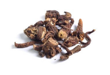 Şifalı otlar hammadde beyaz izole kurumuş. Dandelions bilinen karahindiba kök,.