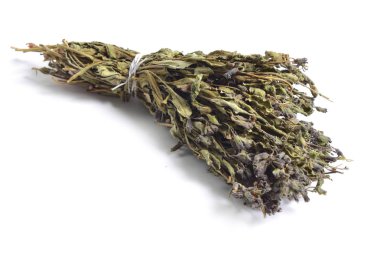 Şifalı otlar hammadde beyaz izole kurumuş. Pulmonaria (lungwort)