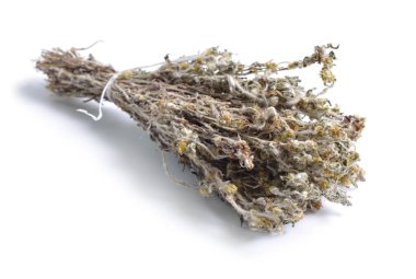 Şifalı otlar hammadde beyaz izole kurumuş. Gnaphalium uliginosum veya marsh cudweed