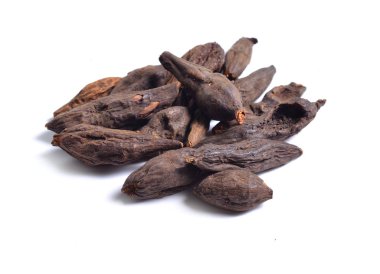 Şifalı otlar hammadde beyaz izole kurumuş. Filipendula kökü