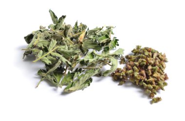 Şifalı otlar hammadde beyaz izole kurumuş. Yaprakları tohum Agrimonia eupatoria, Kasıkotu, kilise steeples veya sticklewort ile.