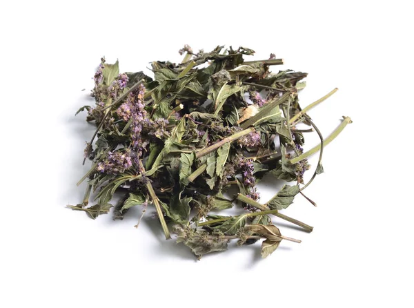 Şifalı otlar hammadde beyaz izole kurumuş. Nane.