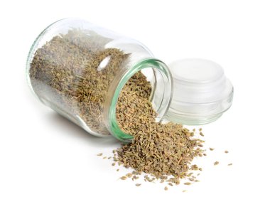 Anason, anason veya Pimpinella anisum olarak da bilinir. Beyaz arka plan üzerinde izole.