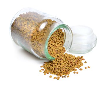 Çemen otu tohumu filiz ile. Trigonella foenum-graecum izole.