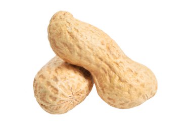 Fıstık kapatın. Beyaz arka plan üzerinde izole. Tam alan derinliği.