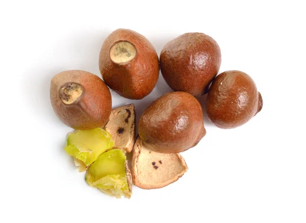 Nüsse von Staphylea oder Blasennuss. isoliert auf weißem Hintergrund — Stockfoto