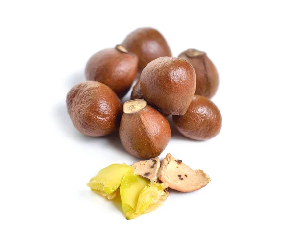 Nötter av amerikansk eller bladdernut. Isolerad på vit backgroumd — Stockfoto