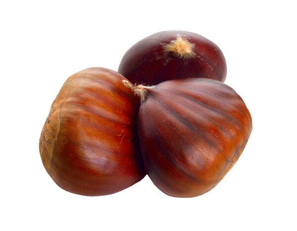 Castanea sativa, или сладкие каштановые фрукты. Изолированный на белом фоне
