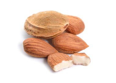 Kayısı çekirdeği, izole üzerinde beyaz arka plan yakından kabuklu.