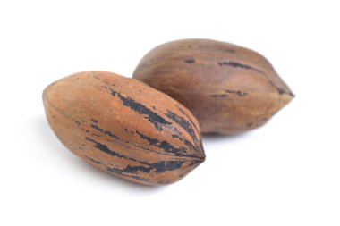 Beyaz arka plan üzerinde izole unshelled pekan fındık.