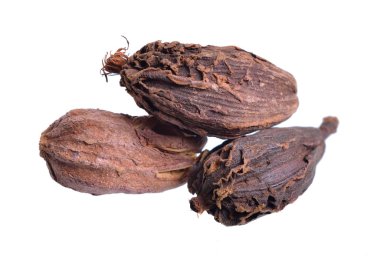 Black cardamom, also known as hill cardamom, Bengal cardamom, greater cardamom, Indian cardamom, Nepal cardamom, winged cardamom, or brown cardamom or cardamon or cardamum. Isolated. clipart