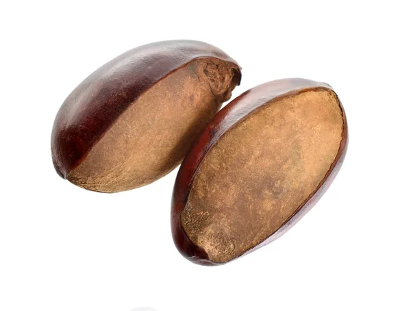 Dva Ořechy Rostlinu Paradoxa Běžně Známý Jako Shea Strom Nebo — Stock fotografie