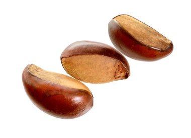Üç fındık Vitellaria paradoxa, shea ağacı veya shi ağaç, Karite bilinen. Beyaz arka plan üzerinde izole.