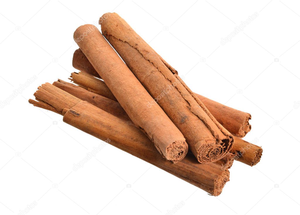 Bark from Cinnamomum verum or true cinnamon or Ceylon cinnamon. Isolated on white background