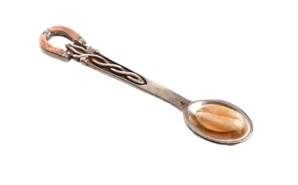 Petit silver jewelery spoon with one wheat grain. Isolated on white background — Stock Photo, Image