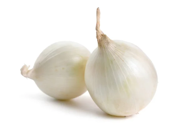 White Onion Bulbs Isolated White Background — Stock Photo, Image