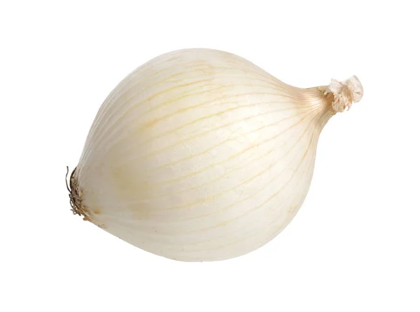 White Onion Bulb Isolated White Background Full Dept Field — Stock Photo, Image