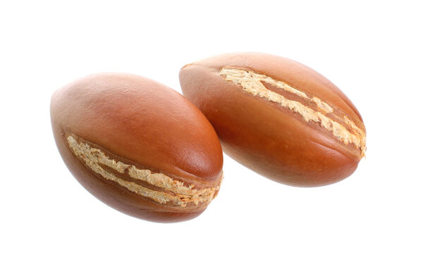 Argan seed oil. Isolated on white background. Full dept of field.