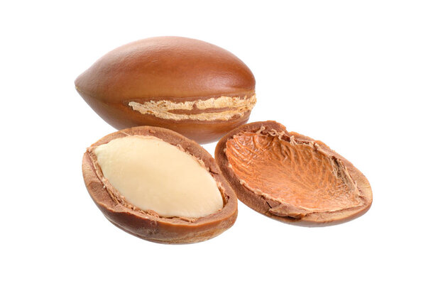 Argan seed oil. Isolated on white background. Full dept of field.