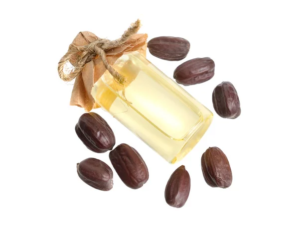 Jojoba Simmondsia Chinensis Nuez Cabra Cervatillo Avellana Silvestre Quinina Café — Foto de Stock