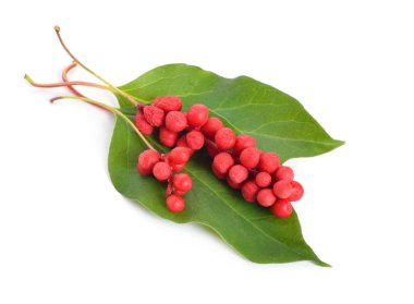 Schisandra chinensis çilek Isolated beyaz arka plan