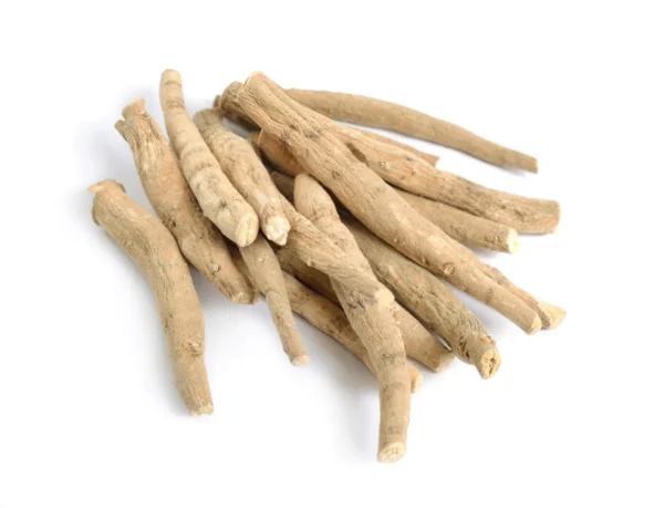 Root Withania somnifera, known commonly as ashwagandha, Indian ginseng, poison gooseberry or winter cherry. — Stock Photo, Image