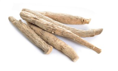 Kök Withania somnifera, halk arasında Ashwagandha, Hint ginsengi, zehirli Bektaşi üzümü veya kış kirazı olarak bilinir..