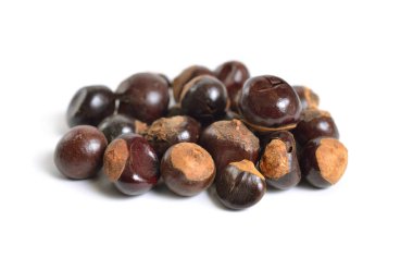 Guarana tohum cupana Paullinia. Beyaz arka plan üzerinde izole