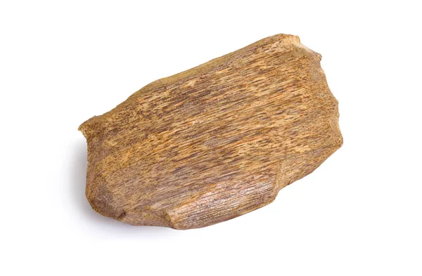 Agarwood, zwany także aloeswood agarowego, izolowana na białym tle — Zdjęcie stockowe