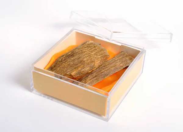 Agarwood, también llamado aloeswood oudh. en la caja de plástico sobre fondo blanco — Foto de Stock